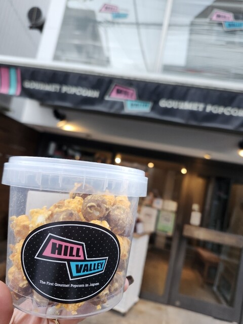 Hill Valley Nakamegurohonten photo 2