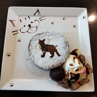 キャットベース_0