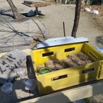 シャーレ水ヶ浜 - エサ代100円(蓋を開けた途端、寝てたはずの鳥たちが、一斉に動きだします(笑))