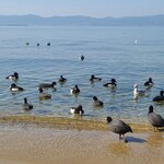 シャーレ水ヶ浜 - 