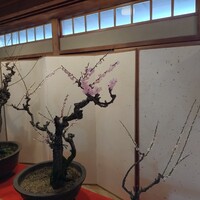 得月楼 - 