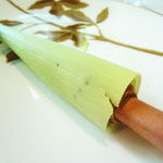 アムール - ヤングコーン　～採れたての味覚～