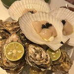 モリエール モンターニュ - 