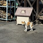 串焼き BUBU-TON - 