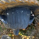 串焼き BUBU-TON - 