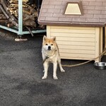 串焼き BUBU-TON - 