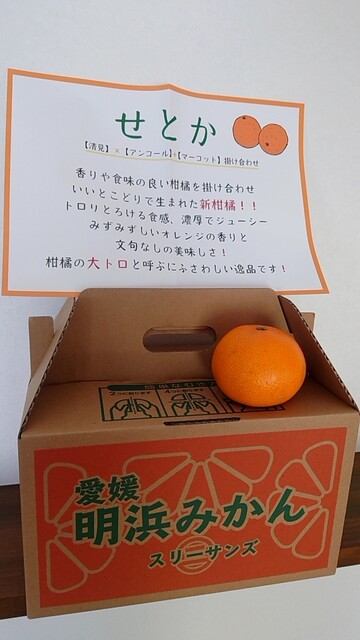 スリーサンズ 前橋荒牧店 - 群馬総社/その他 | 食べログ