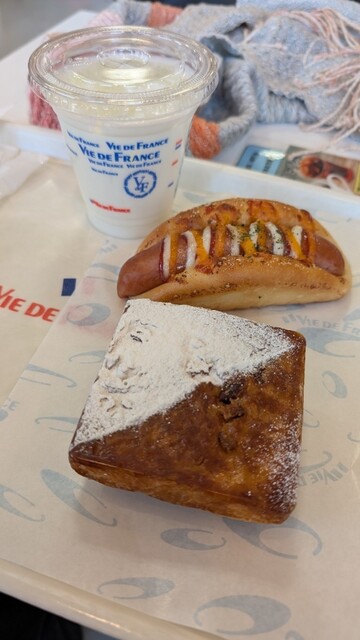 VIE DE FRANCE Ikeshita Ten