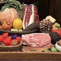 オッジ ダルマット 西麻布店 - 