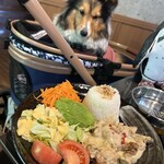 CAFE&RESTO Cherry with DOG - 
