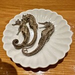 旬華 なか村 - タツノオトシゴ