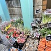 野方青果 吉祥寺本店