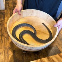 炭焼鰻 寝床 福島店 - うなぎ2匹