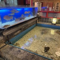 いけす鶴八 新栄店 - 