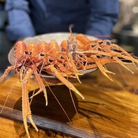 馳走西健一 - ぴちぴちとまだ活きている赤座海老