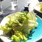 CHICHICAFE - 葉っぱにはドレッシング