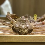 橦木町 しみず - 