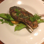 ドノスティア - 仔羊！