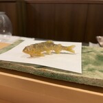 天白 - 稚鮎(木曽川産)の天麩羅