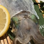 大名 つつじ庵 - 