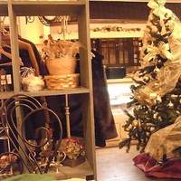 Bistro COLORIS - 