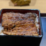 三嶋うなぎ 松子 - 赤松