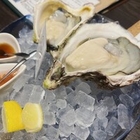 四ツ橋・新町 牡蠣と肉たらしビストロAKIRA - 