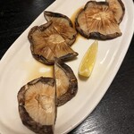 みなみ丸 合歓 - 