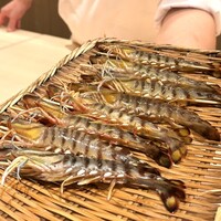 鮓 有無 - 