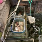 いけすろばた 佐藤 - 