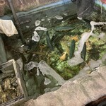 いけすろばた 佐藤 - 