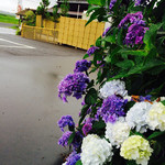 蕎麦処 みかわ - 