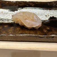 THE SUSHI GINZA 極 - 