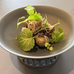 プレゼンテ スギ - 