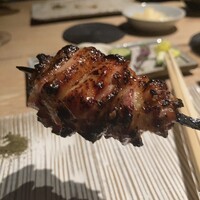 鳥カミ - 