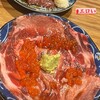 焼売酒場 マッコイ