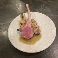 ブラチェリア バーヴァ - 