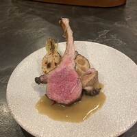 ブラチェリア バーヴァ - 