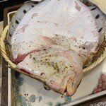 うを徳 - 淡路島産 星鰈　2.4 kg