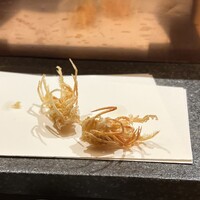 天 よこた - 