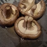 炭火焼鳥きびたき - 