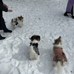 CARO FORESTA Karuizawa Jyarudino