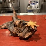 レストラン スノゥ - 