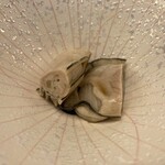 285881674 - 仙鳳趾の牡蠣