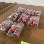 みえの森苺園 - 