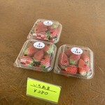 みえの森苺園 - 