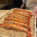 恵比寿 鮨 ふじまさ - 