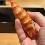 恵比寿 鮨 ふじまさ - 