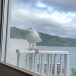 大和旅館アネックス - お部屋のベランダにようこそ‼️