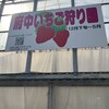 府中いちご狩り園